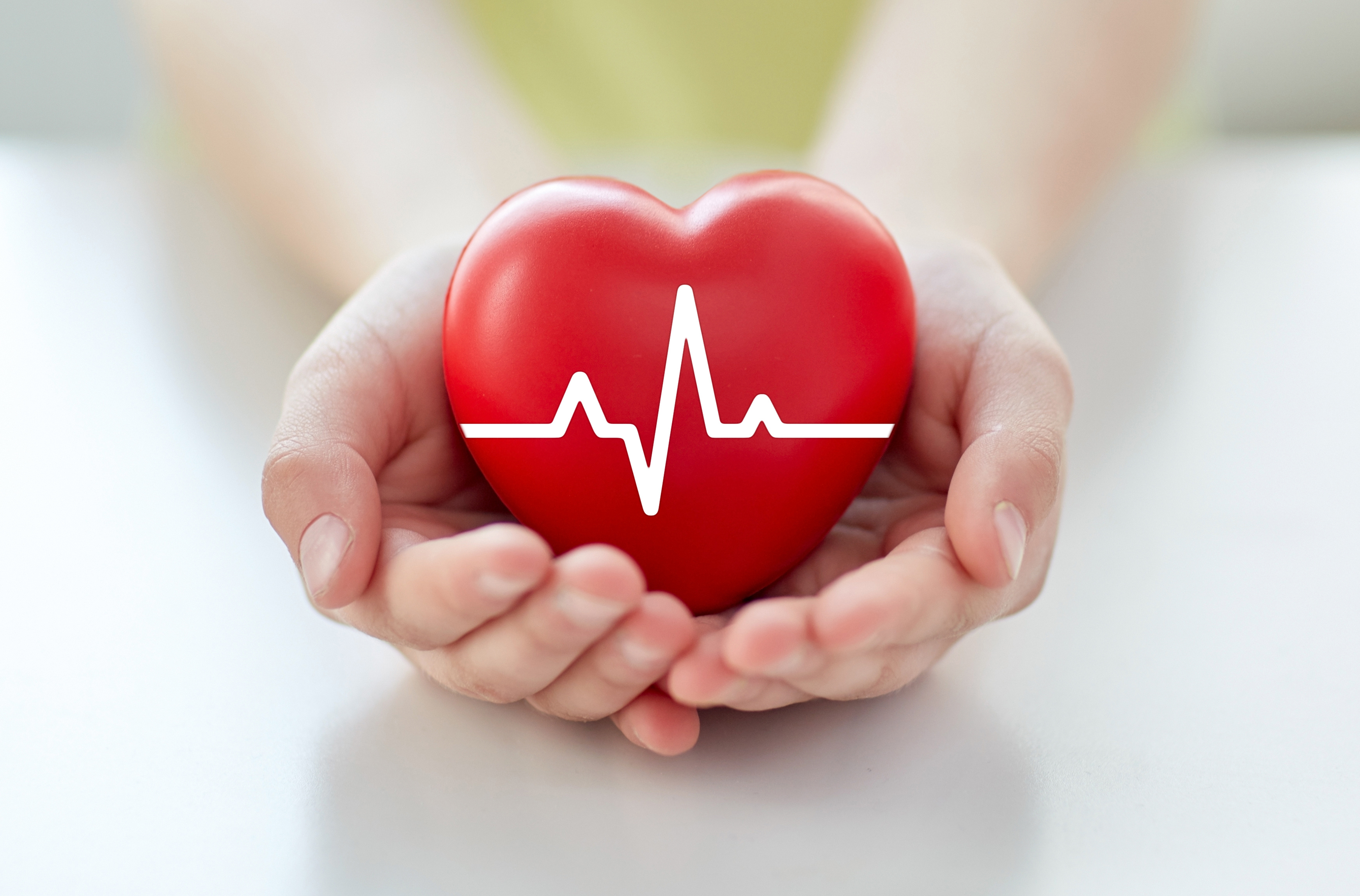 health, medicine, people and cardiology concept - close up of hand with cardiogram on small red heart